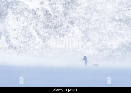 skier in snow drifting, Lapland, Sweden Stock Photo