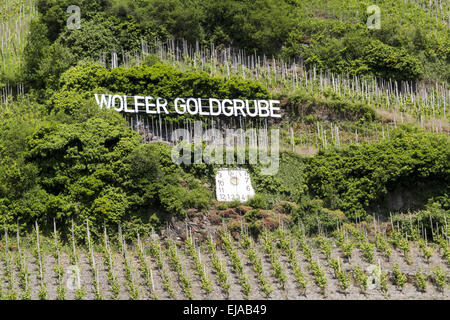 Wolfer Goldgrube vineyard with sundial Stock Photo - Alamy