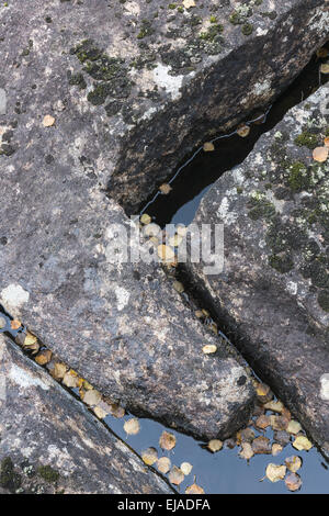 rocks in a creek, Lapland, Sweden Stock Photo