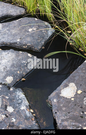 stones in a creek, Lapland, Sweden Stock Photo