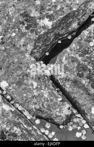 rocks in a creek, Lapland, Sweden Stock Photo