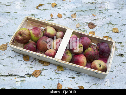 apples in a basket Stock Photo