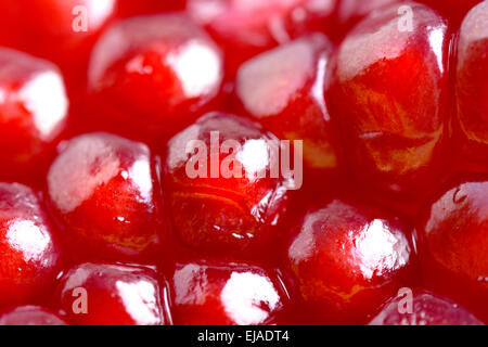 Pomegranate background. Macro of peeled ripe seeds Stock Photo