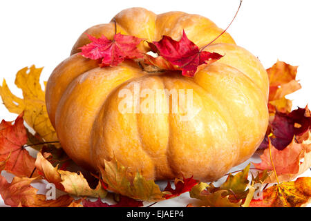 pumpkin and maple leaves on white background Stock Photo