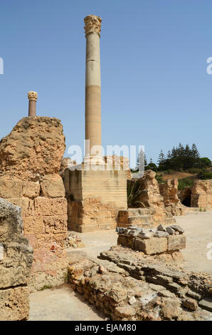 Old Carthage ruins in Tunisia Stock Photo