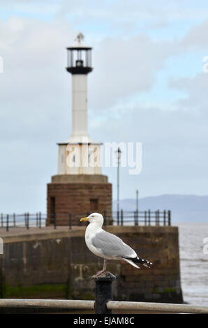 Maryport Lighthouse is a small Lighthouse located in Maryport, Cumbria, England. Stock Photo