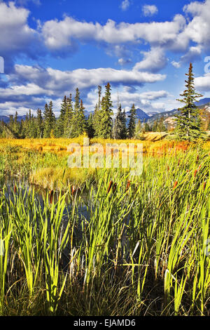 Magnificent morning in the north of Canada Stock Photo