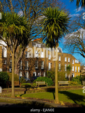 Terraced houses in Canonbury Square Islington London N1 England UK built  1805 to1830 George Orwell and Evelyn Waugh lived here Stock Photo