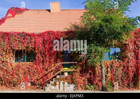 overgrown house Stock Photo