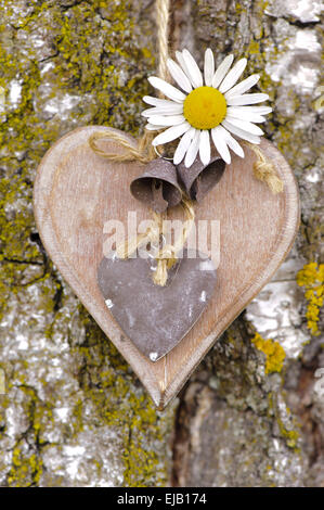 heart on tree bark Stock Photo