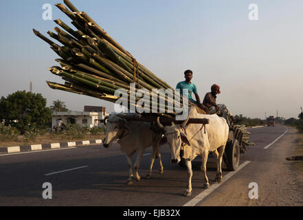 Bullock cart carrying bamboo up new highway Bihar, India Stock Photo