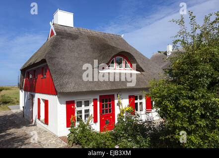 Thatched house in Ahrenshoop Stock Photo