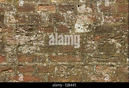 Industrial Brick wall best background texture close Stock Photo