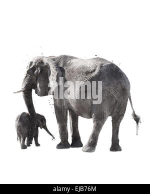 Watercolor Image Of  Elephants Stock Photo
