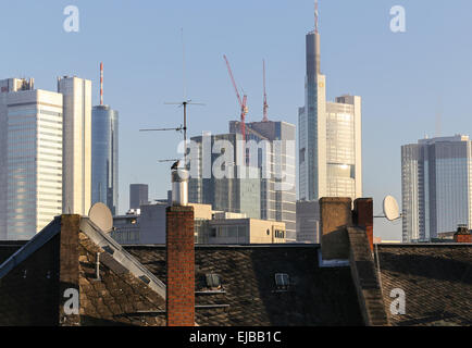Skyline in Frankfurt/Main Stock Photo