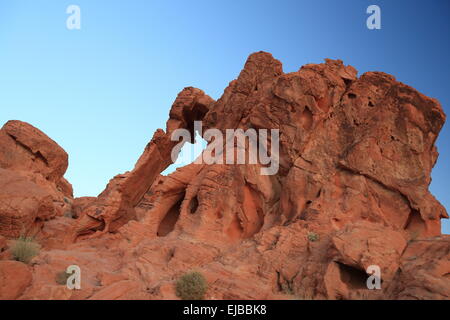 Elephant Rock Valley of Fire Nevada Stock Photo