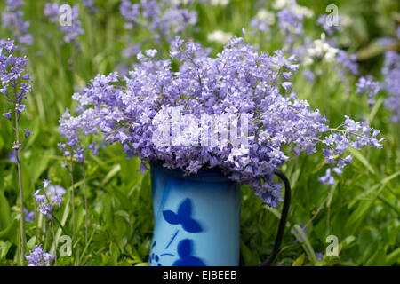 Bluebells in blue enamel pitcher in garden with moss Stock Photo