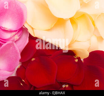 petal background Stock Photo