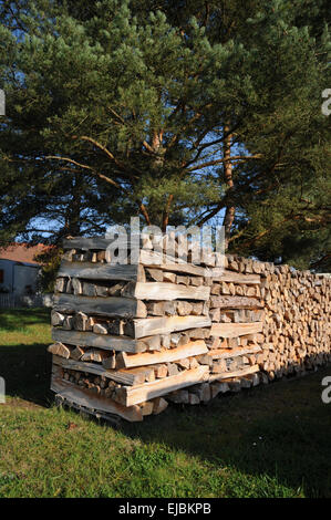 Fire wood Stock Photo