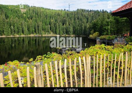 on Lake Mummelsee Black Forest Germany Stock Photo