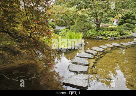 Japanese garden. A stream and  path Stock Photo