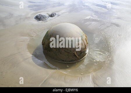 Moeraki Boulders New Zealand Stock Photo