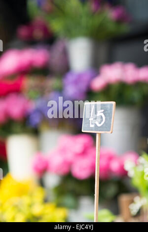 Roses, daffodils, bluebells and other spring flowers at London market Stock Photo