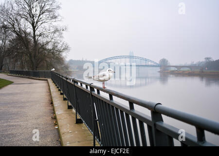 On the banks of the River Elbe Stock Photo