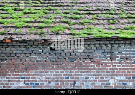 old house wall with moss-covered roof Stock Photo