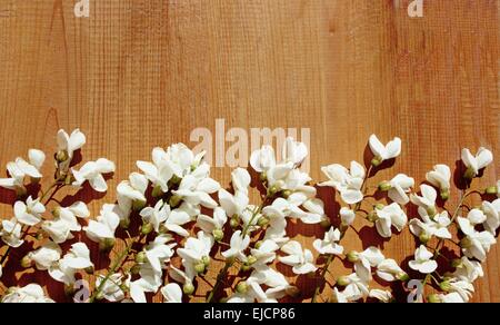 White Wisteria Spring Flowers on Wood Stock Photo