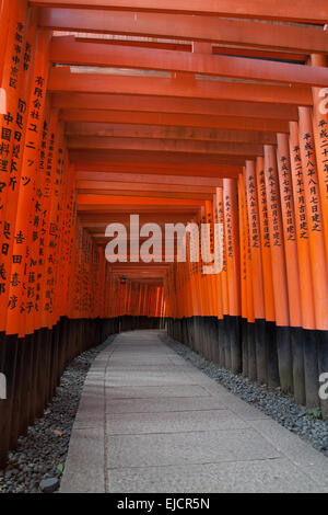 A tunnel of vermillion orange Torii gates at the famous Fushimi-Inari ...