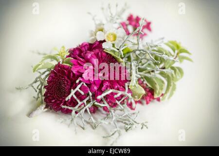 Beautiful little decoration of flowers Stock Photo