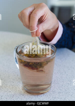 Chamomile teabag in glass mug on table Stock Photo