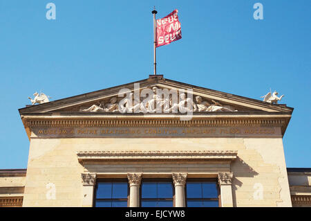 希少建築本] Neues Museum Berlin Neues Museum, Berlin: David