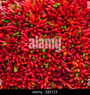 Lots of red peppers arranged at the market Stock Photo