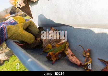 Leaves are removed from the gutter Stock Photo