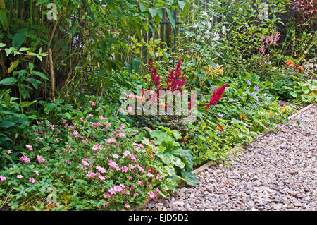 Detail of beautiful mixed herbaceous border with contrasting shrubs and flowers, next to pebble path, English garden, summer Stock Photo