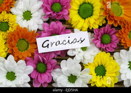 Gracias (which means thank you in Spanish) card with colorful Santini flowers Stock Photo