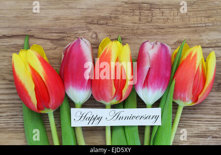 Happy Anniversary card with colorful tulips Stock Photo