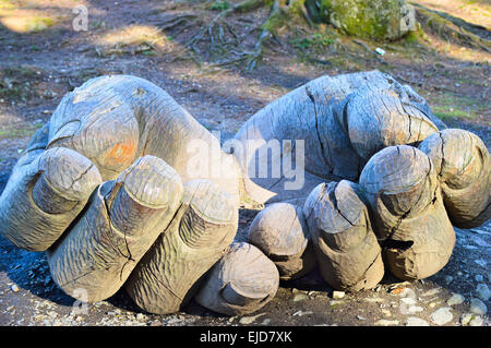 Entrust a wooden sculpture of cupped hands by Rosalind Rawnsley at ...