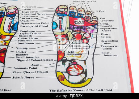 Cambodia, Siem Reap, Foot Reflexology Chart Stock Photo