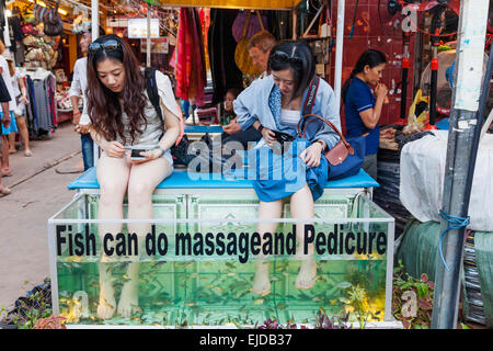 Cambodia, Siem Reap, Asian Girls Having Fish Massage Stock Photo
