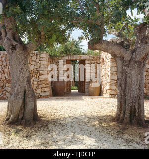 Old olive trees on gravel area in front of gates in stone wall of garden in Mallorca Stock Photo