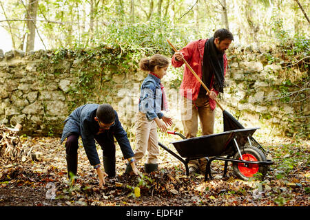 A family raking and scooping up leaves in autumn. Stock Photo