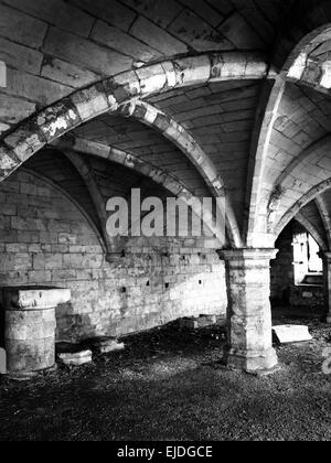 The Crypt at St Leonards Hospital Museum Gardens York North Yorkshire England Stock Photo