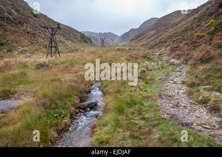 Cwm Bychan near Beddgelert in Snowdonia. Pylons that once carried ore from the Copper mines. Stock Photo