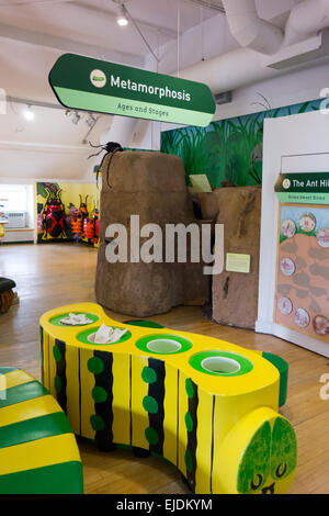Staten Island Children's Museum in NYC Stock Photo