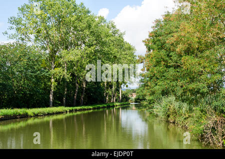 The Canal du Centre passes under a line of linden trees upriver from Fragnes, Burgundy, France. Stock Photo
