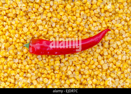 Paprika on corn as background. Stock Photo