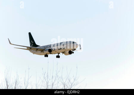 Airplane -Boeing 737-800-, of the -Egyptair- airline, landing on Madrid-Barajas airport. Stock Photo